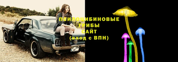 мяу мяу мука Алексин