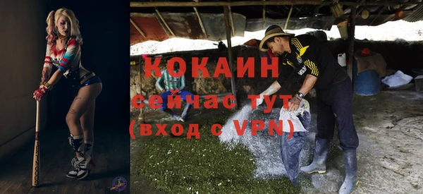 дживик Алзамай