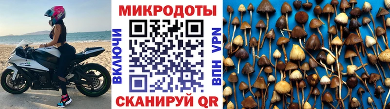 площадка состав  как найти закладки  Копейск  Галлюциногенные грибы GOLDEN TEACHER 